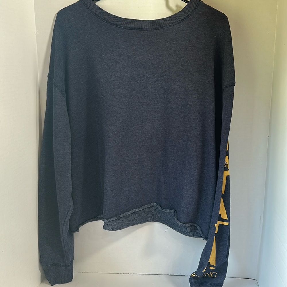 Disney lion king blue cropped long sleeve sweatshirt size XXL hakuna matata